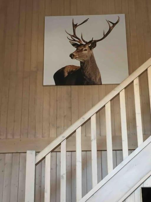 Chalet Milou لي جيه المظهر الخارجي الصورة